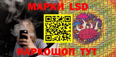 гидропоника Бийск