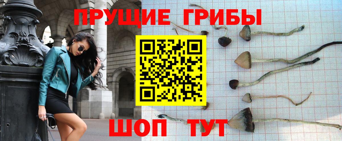 купить наркоту  Псилоцибиновые грибы MAGIC MUSHROOMS  Вход с VPN  Каменск-Уральский 