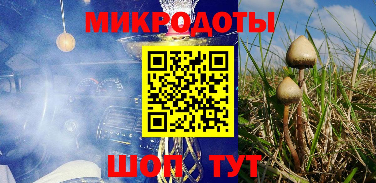 Псилоцибиновые грибы Psilocybine cubensis Каменск-Уральский